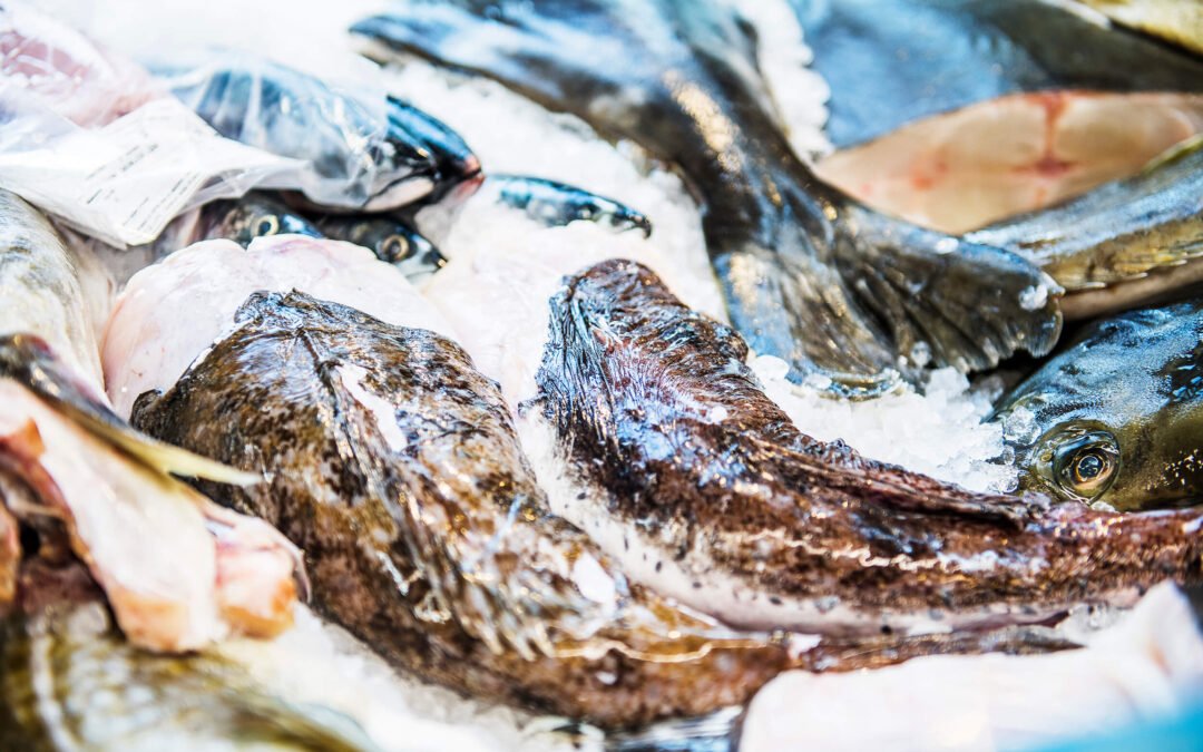 Skreien Har ankommet