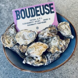 Østers - Boudeuse