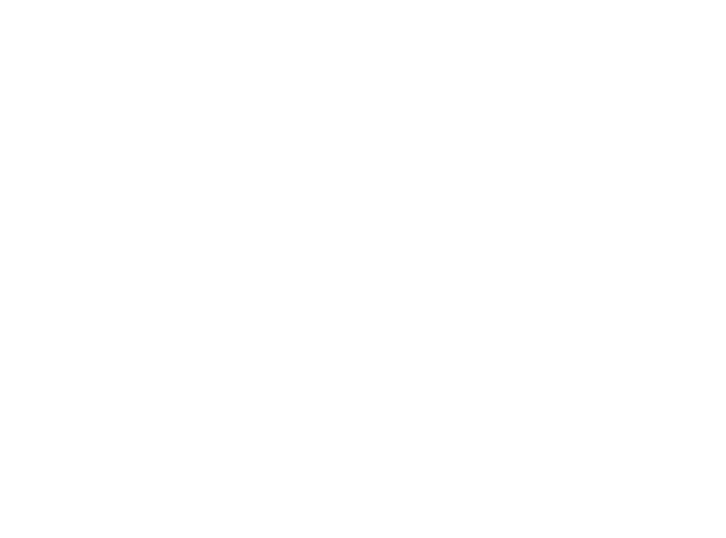 Fiks Ferdig Nyttår logo