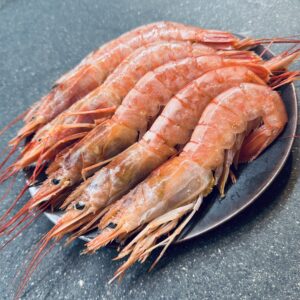 Kjempereker Argentinske Rå