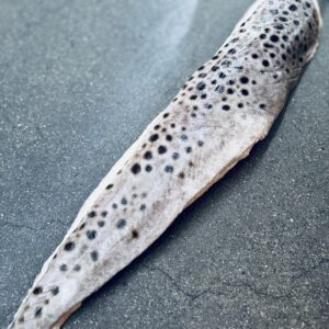 Steinbittfilet med skinn