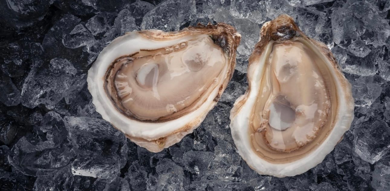 Østers - Virginica - Bilde 2